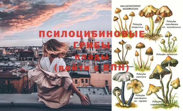 дмт Бугульма