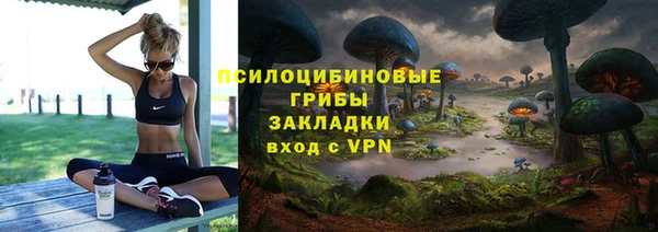 дмт Бугульма